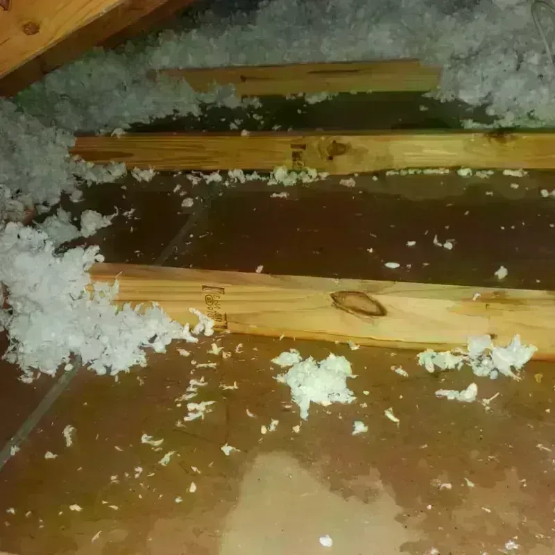 Attic Water Damage in Storrs, CT